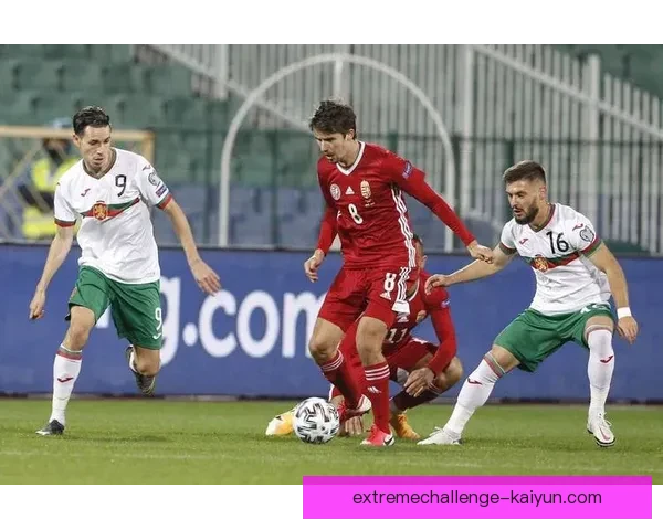 爱尔兰欧预赛附加赛状态分析：球队表现稳健，备受关注